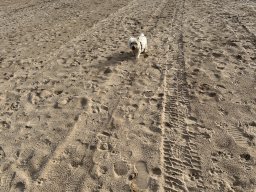 096-19-12-2025 IMG_3245